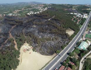 Mudanya forest fire turns 20 hectares of land into ashes