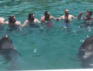 VIDEO: Dolphins dance with humans in Turkish style