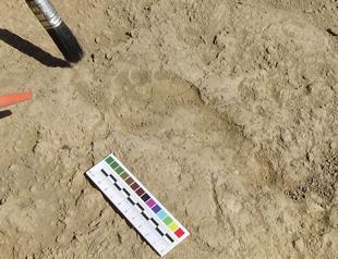 Ancient human footprint found in Van