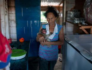 The art of living and thriving in the Amazon river basin