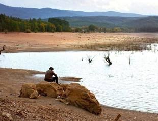 ‘The Wild Pear Tree’ announced as Turkey’s Oscar entry