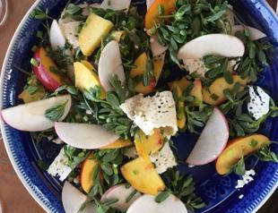 Creepy weed: Purslane