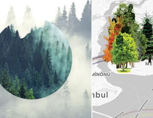 ‘Nazım’s Forest’ released on App Store