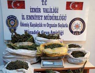Police seize over 250 cannabis plants on pepper farm in İzmir