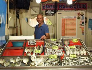 Turkeys fishermen set sail as seasonal ban ends