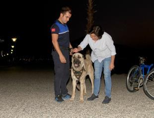 Abused dog works for Municipality Police