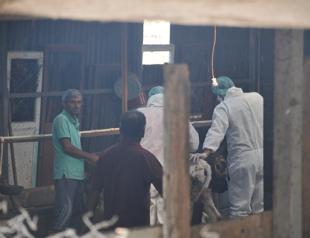 Turkeys main opposition CHP warns of ‘more animal diseases’ from lack of import regulations