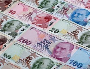 Analysis: How do developed economies maintain their low interest rates