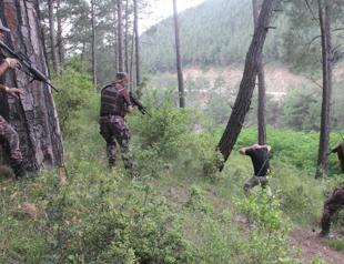 PKK militant on wanted list captured