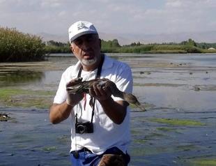 Mass bird deaths in Van marshlands raises concerns