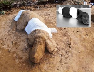 Sculpture of killed puppy erected in Istanbul neighborhood