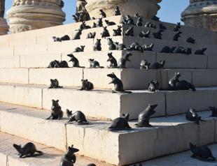 Mice figurines on steps of Apollo Temple