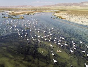 Turkey’s Salt Lake sanctuary for birds