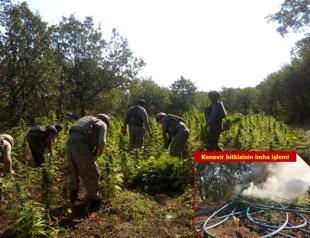 Turkish police seize over 7 tons of marijuana