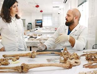 How a fig tree helped to identify a slain Turkish Cypriot: In search of missing persons in divided Cyprus