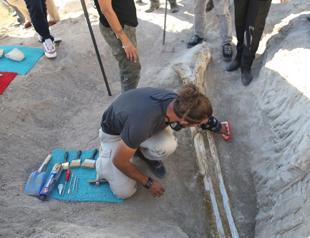 7.5 million-year-old bovidae fossils found in Turkey’s Kayseri province