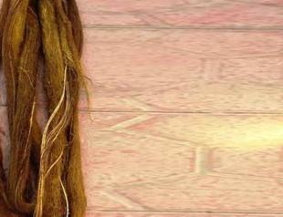 Tree grows seven meters inside water pipe in Turkey’s southeast