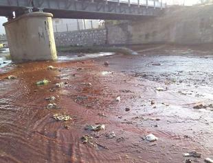 Officials fine company for polluting creek in Turkey’s Aydın