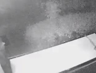 Afghan drug dealer detained in Turkey before killing eyewitnesses of murder