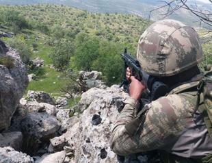 227 PKK militants ‘neutralized’ in southeastern Turkey in 2018