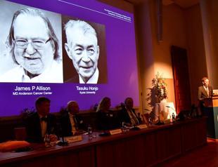 US, Japanese pair win Nobel Medicine Prize for cancer therapy