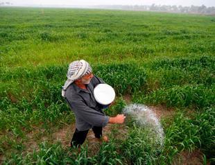 World food prices dip in September: FAO