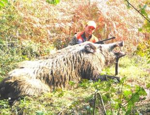 Turkish hunter’s pose with massive boar divides social media users