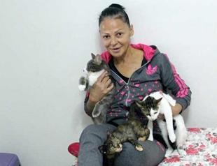 Turkish sex workers sue brothel for firing them for feeding stray cats