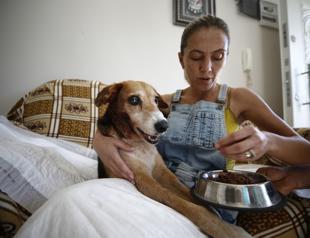 Stray dog in Antalya survives with 126 buck shots