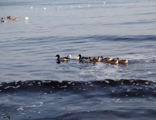 Authorities examine why color of Kamara River in Turkey’s northwest changed