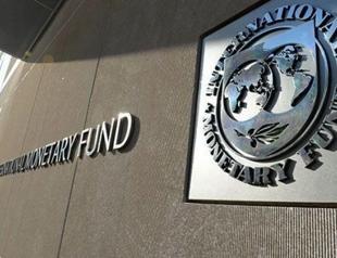 Turkey gets representation in IMF executive directorate