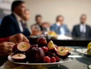 Turkeys indigenous red apple awaits patent