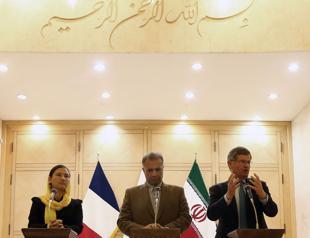 Europeans want Iran bank connected to world: French senator