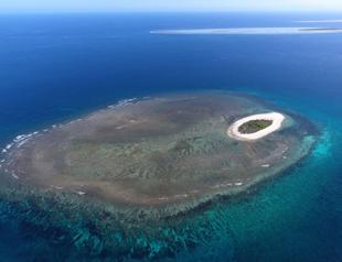 The ocean: A new idea for our world