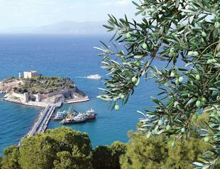 Olive Festival in Kuşadası