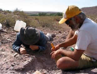 Paleontologists discover new sauropod species in Argentina