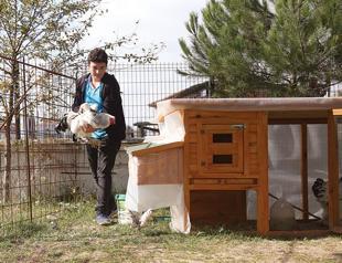 Samsun high school builds chicken coop for student