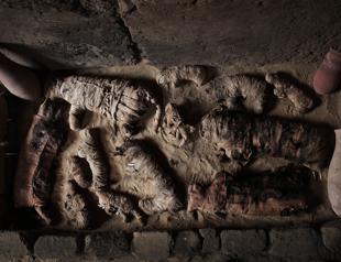 Cat mummies, animal statues discovered in Egypt sarcophagi