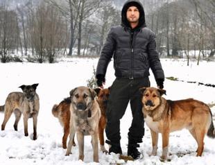 Turkish popstar Tarkan makes call for stray animals