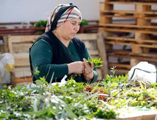 Christmas wreaths made by housewives exported to over 20 countries