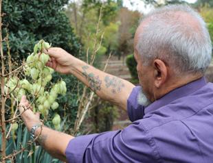 Turkish academic has tattoos of plants he discovered on his arm