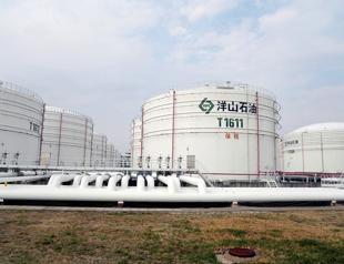 Russia crude supply to China surges to record, Iran shipments sink