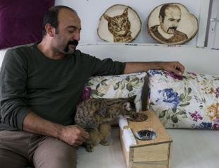 Cat without forelegs happy in her home