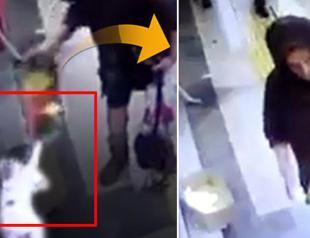 Woman accused of stealing cat’s blanket in Turkey’s west