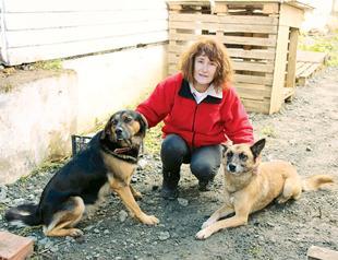 Woman applies to Constitutional Court after her dogs were removed from house