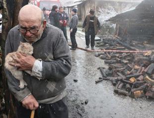 Grandpa Ali and his cat Photo of the Year