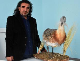 Arbitrary use of pesticides intoxicates wild animals, bees in Turkeys east: Expert