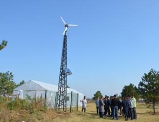 Wind energy capacity to reach 8 GW in 2019