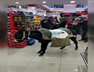 Protesting plastic bag charge, Turks shop with donkey, wheelbarrow