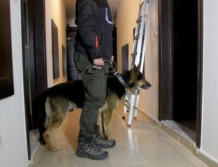 205,000 drug suspects detained in 2018: Ministry